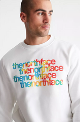 THE NORTH FACE Graphic Injection Crew Neck Sweatshirt