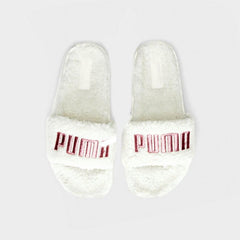 PUMA Leadcat 2.0 Slides