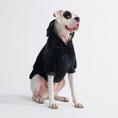 SPARK PAWS Velvet Dog Hoodie - Obsidian Black