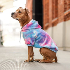 SPARK PAWS Velvet Dog Hoodie - Snow Cone