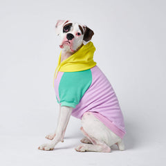 SPARK PAWS Purple Turquoise Yellow Dog Hoodie