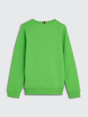 TOMMY HILFIGER Logo Crew Neck Jumper