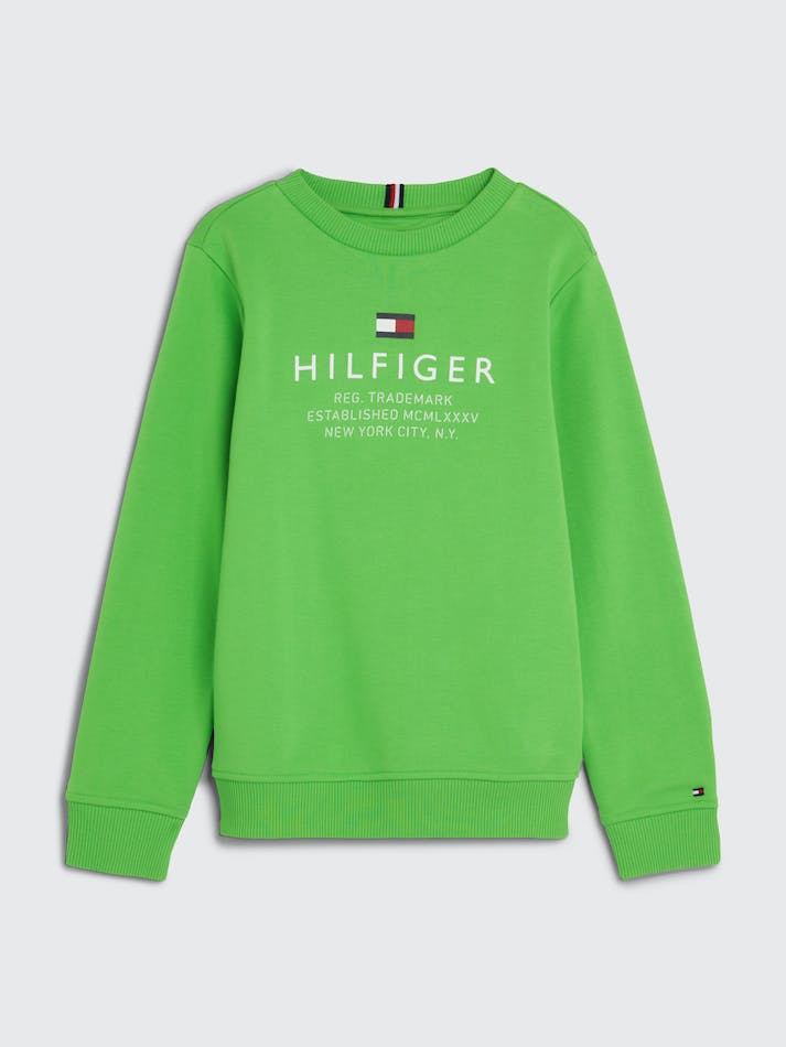 TOMMY HILFIGER Logo Crew Neck Jumper