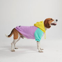 SPARK PAWS Purple Turquoise Yellow Dog Hoodie