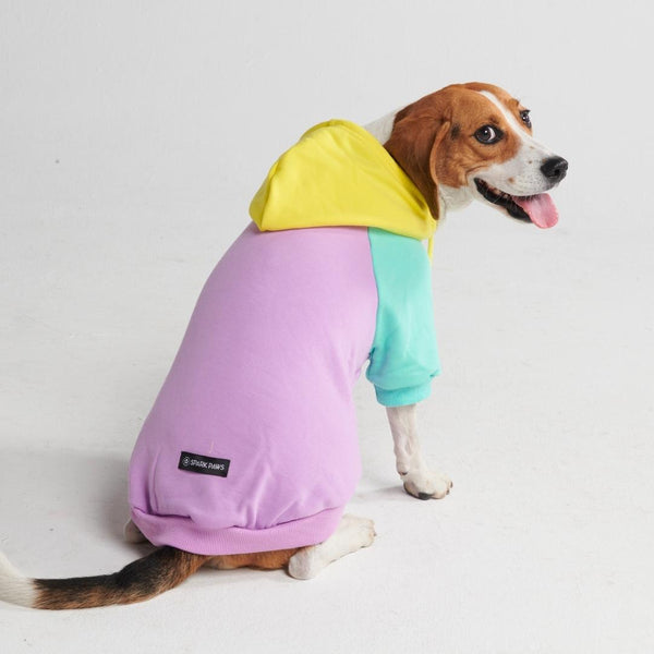 SPARK PAWS Purple Turquoise Yellow Dog Hoodie