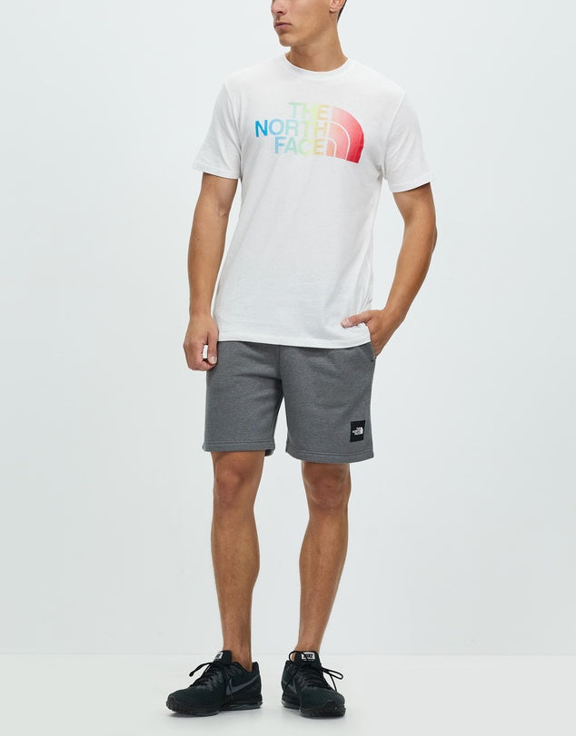 THE NORTH FACE Box NSE Mens Shorts