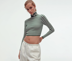 ZARA Crop Knit Turtleneck Sweater