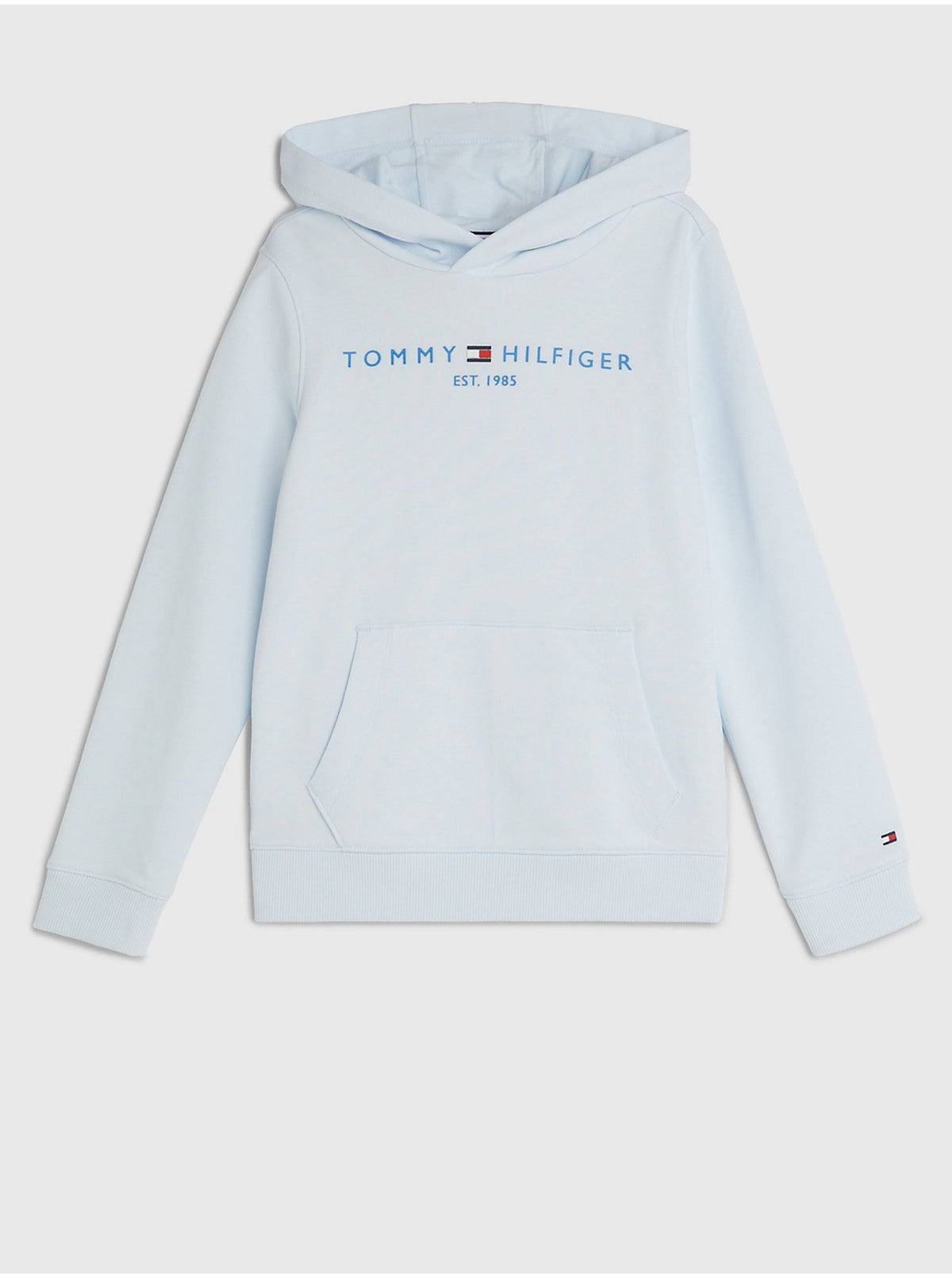 TOMMY HILFIGER Essential Logo Terry Hoody