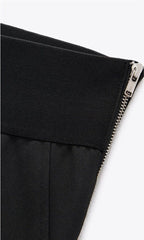 ZARA Zippered Pleated Pants