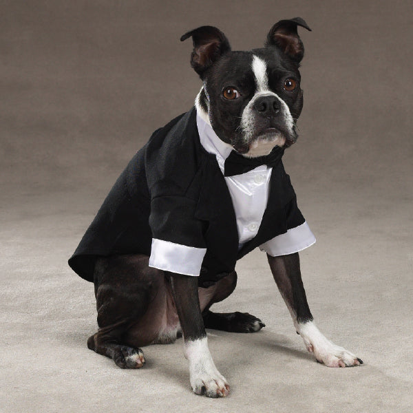 BAXTERBOO East Side Collection Yappily Ever After Wedding Groom Dog Tuxedo