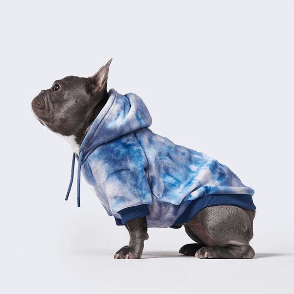 SPARK PAWS Velvet Dog Hoodie - Sapphire Blue