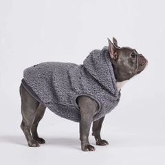 SPARK PAWS Teddy Sherpa Dog Jackets