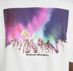 LEVІ`S NATURAL WONDERS TEE BIG BOYS