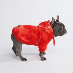 SPARK PAWS Velvet Dog Hoodie - Ruby Red