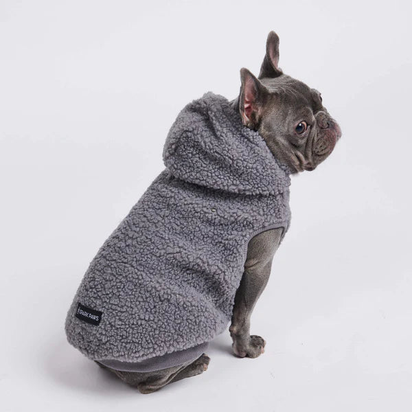 SPARK PAWS Teddy Sherpa Dog Jackets