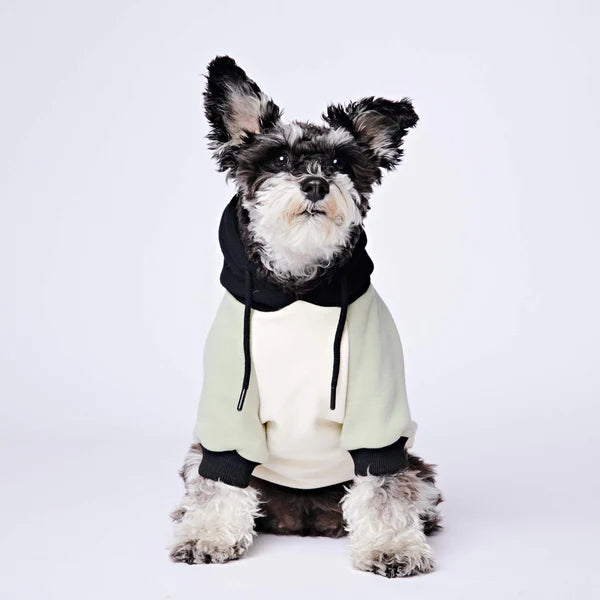 SPARK PAWS Olive Cream Dog Hoodie