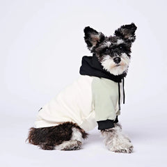 SPARK PAWS Olive Cream Dog Hoodie