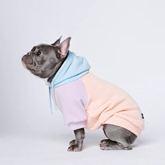 SPARK PAWS Cotton Candy Dog Hoodie