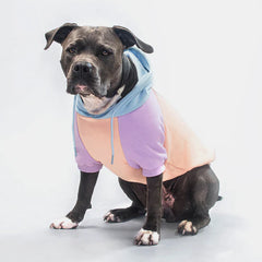 SPARK PAWS Cotton Candy Dog Hoodie