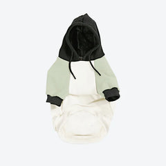 SPARK PAWS Olive Cream Dog Hoodie