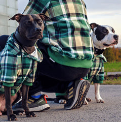 SPARK PAWS Green Plaid Dog Hoodie